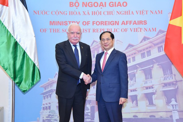 Deputy PM hosts Special Envoy of Palestinian President- Ảnh 1.