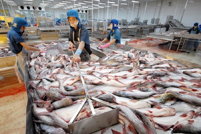 Aquatic exports forecast to hit US$10 billion in 2024- Ảnh 1.