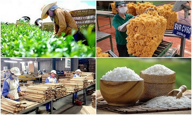 Agro-forestry-aquatic product exports up 19% in 11 months- Ảnh 1.