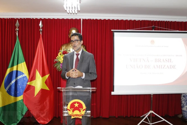Viet Nam is among major partners of Brazil: Brazilian official- Ảnh 1.