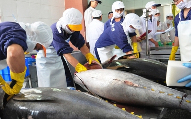 Vietnamese tuna products exported to 80 markets worldwide- Ảnh 1.