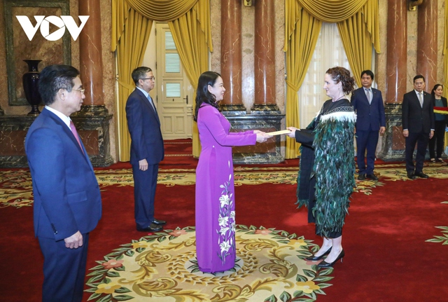 Acting President hosts newly-accredited ambassadors- Ảnh 2.