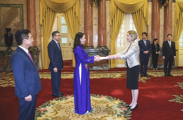 Acting President hosts newly-accredited ambassadors- Ảnh 4.