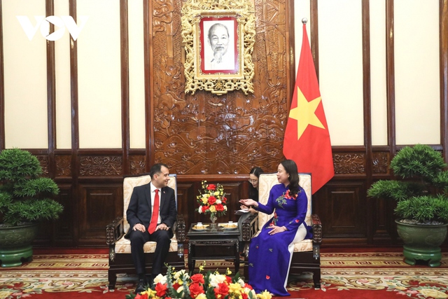 Acting President hosts newly-accredited ambassadors- Ảnh 3.