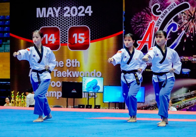 Viet Nam wins gold at Asian Taekwondo Championship on home soil- Ảnh 1.