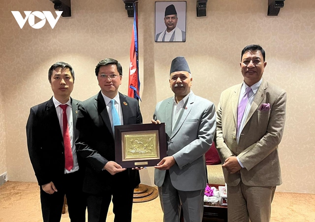 Viet Nam, Nepal should launch direct air route to boost tourism, investment: Nepali Vice President - Ảnh 1.