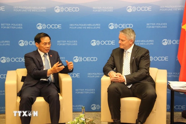 Foreign Minister attends OECD’s Ministerial Council Meeting in Paris - Ảnh 2.