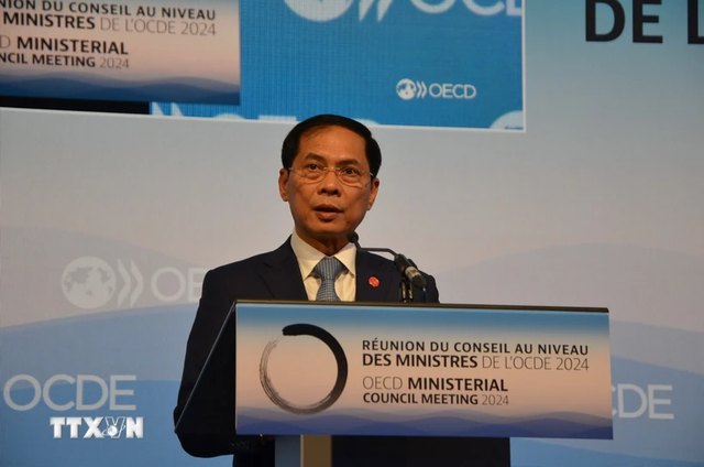 Foreign Minister attends OECD’s Ministerial Council Meeting in Paris - Ảnh 1.