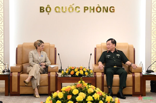 Viet Nam, France research to promote cooperation in sharing war memories- Ảnh 1.