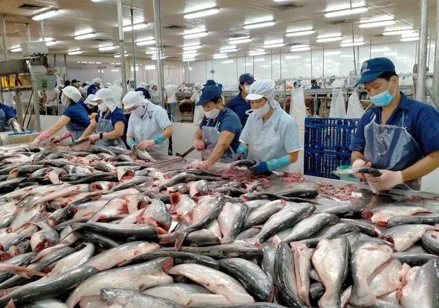 Aquaculture export turnover may hit US$4.4 billion in H1- Ảnh 1.