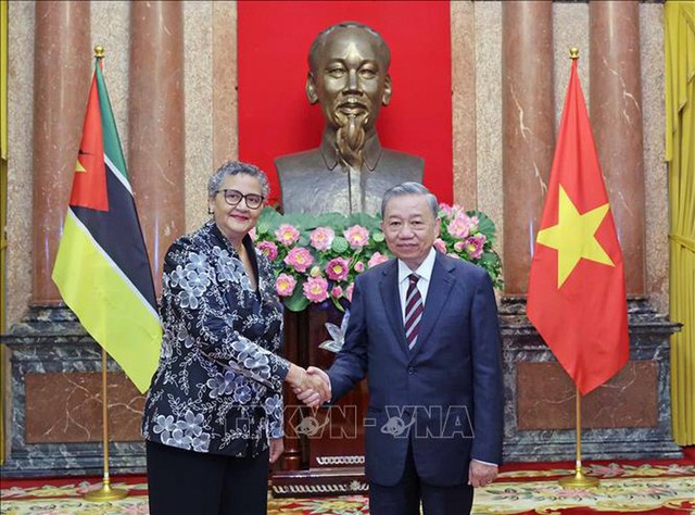 President welcomes newly accredited Ambassadors- Ảnh 2.