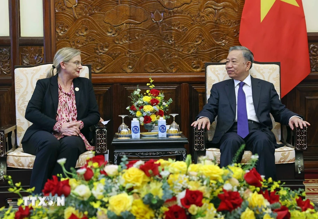 Sweden, Viet Nam to cooperate on climate change response, green transformation- Ảnh 1.