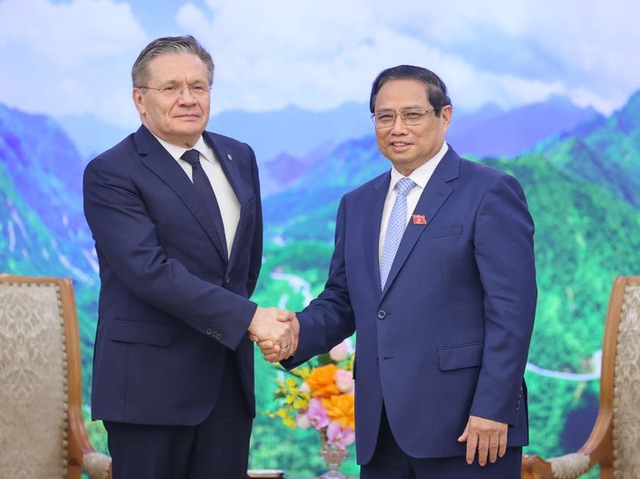 Viet Nam, Russia to promote cooperation in atomic energy for peaceful purposes - Ảnh 1.