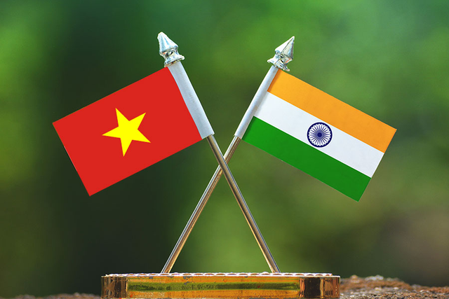 Ample room remains for Viet Nam-India collaboration: Diplomat- Ảnh 1.