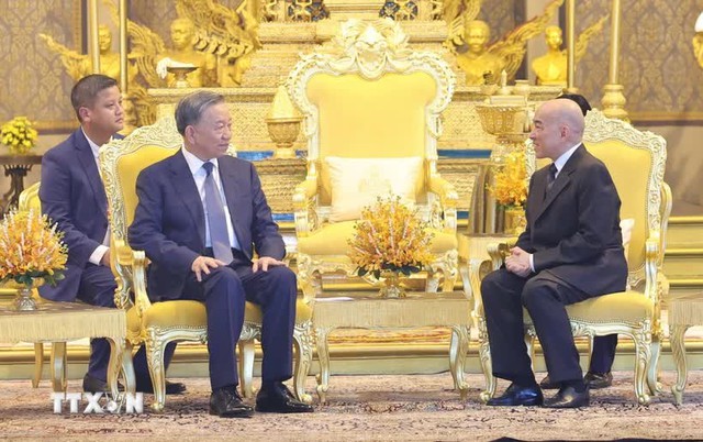 Vietnamese President meets with Cambodian King in Phnom Penh- Ảnh 1.