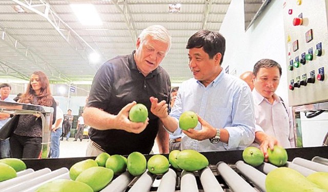 U.S. remains potential market for Vietnamese fruits- Ảnh 1.