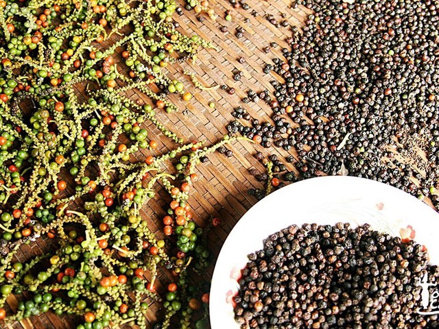 U.S. remains Viet Nam’s largest peppercorn importer- Ảnh 1.