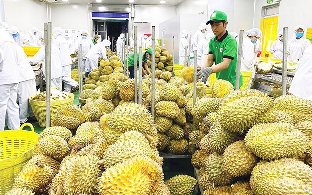 Gov’t steps up Sanitary and Phytosanitary Measures enforcement- Ảnh 1.