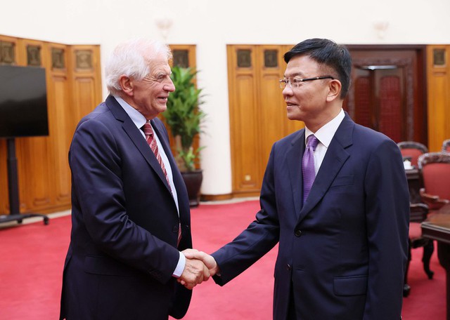 DPM receives EC Vice President- Ảnh 1.