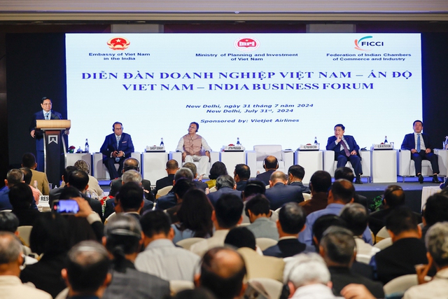 Viet Nam, India strive to raise trade turnover to US$20 billion - Ảnh 1.