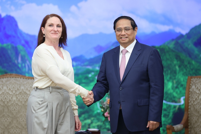 Viet Nam, New Zealand target to upgrade ties- Ảnh 1.