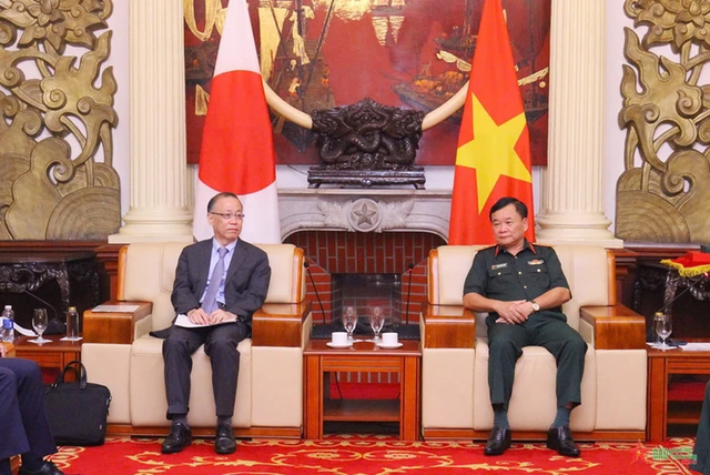 Viet Nam, Japan strengthen cooperation to overcome war consequences- Ảnh 1.