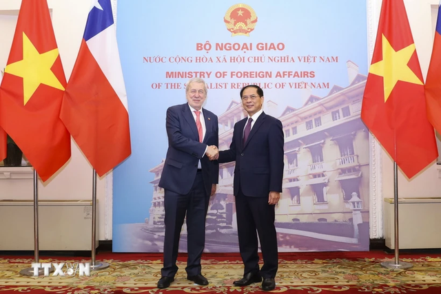 Foreign Minister holds talks with Chilean counterpart- Ảnh 1.