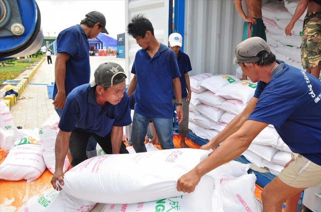 Gov’t provides rice relief to 14 storm-hit localities- Ảnh 1.