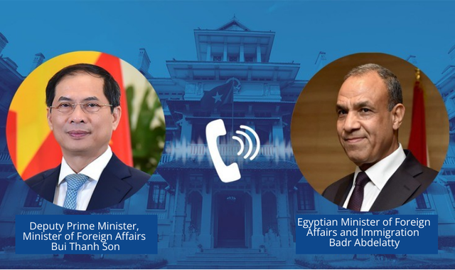 Deputy PM holds phone talks with Egyptian Foreign Minister- Ảnh 1.