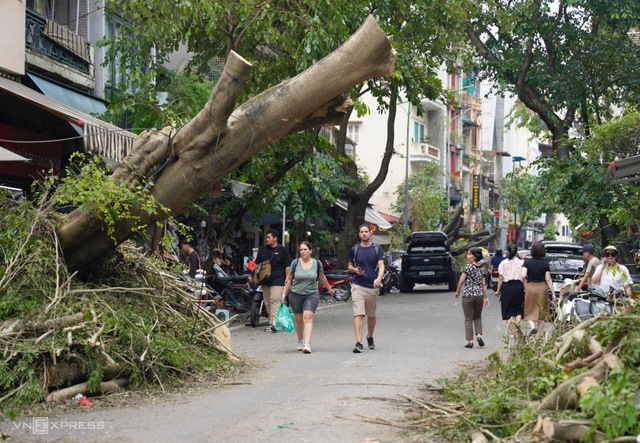 Typhoon Yagi costs Viet Nam more than US$2 billion, Gov't says- Ảnh 1.