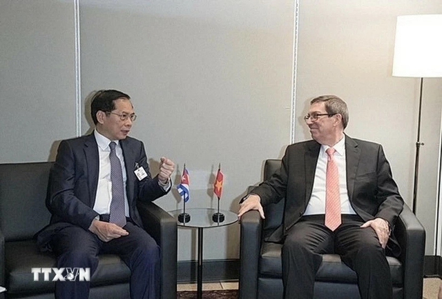 Deputy Prime Minister meets foreign diplomats on sidelines of UNGA’s 79th session- Ảnh 1.