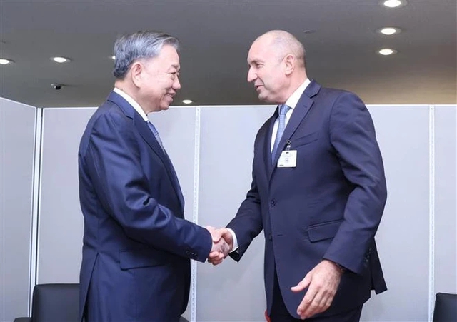 Party chief meets with world leaders in New York- Ảnh 2.