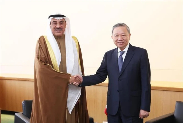 Party chief meets with world leaders in New York- Ảnh 4.