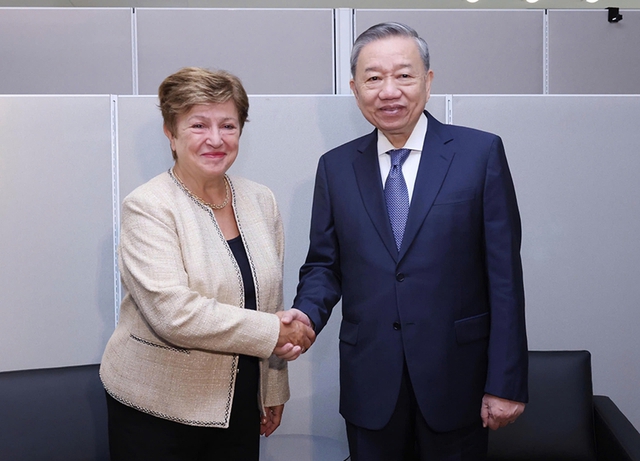 Party chief meets with world leaders in New York- Ảnh 1.