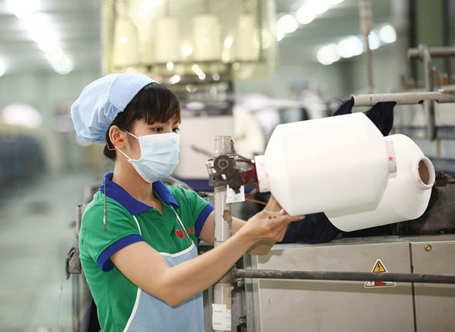 Viet Nam to launch raw materials center for textile and footwear in 2025- Ảnh 1.