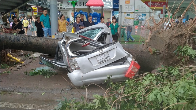 Yagi death toll in Viet Nam rises to 49- Ảnh 1.