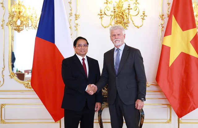 Gov’t chief meets with Czech President- Ảnh 1.