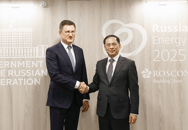 Viet Nam, Russia agree to materialize signed cooperation agreements- Ảnh 1. Viet Nam, Russia agree to materialize signed cooperation agreements- Ảnh 1.