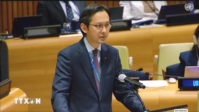 Viet Nam calls for decisive actions towards total elimination of nuclear weapons- Ảnh 1.