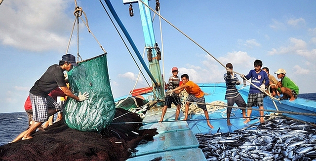 Viet Nam launches month-long campaign against IUU fishing- Ảnh 1. Viet Nam launches month-long campaign against IUU fishing- Ảnh 1.