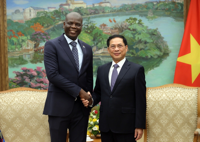South Africa urged to advance FTA talks between Viet Nam and SACU- Ảnh 1. South Africa urged to advance FTA talks between Viet Nam and SACU- Ảnh 1.