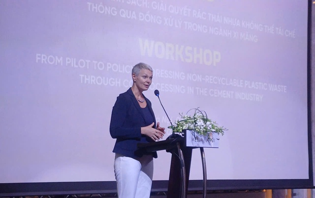 Norway helps Viet Nam tackle plastic wastes through co-processing- Ảnh 1.