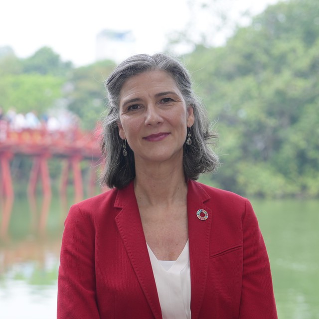 Viet Nam’s significant progress takes root in strong leadership, long-term vision: UNDP - Ảnh 1. Viet Nam’s significant progress takes root in strong leadership, long-term vision: UNDP - Ảnh 1.