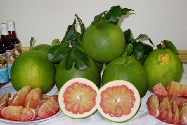 Viet Nam’s pomelos official available in Australia - Ảnh 1. Viet Nam’s pomelos official available in Australia - Ảnh 1.