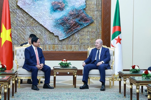 Traditional friendship between Viet Nam and Algeria is priceless asset: President Abdelmadjid Tebboune- Ảnh 1.
