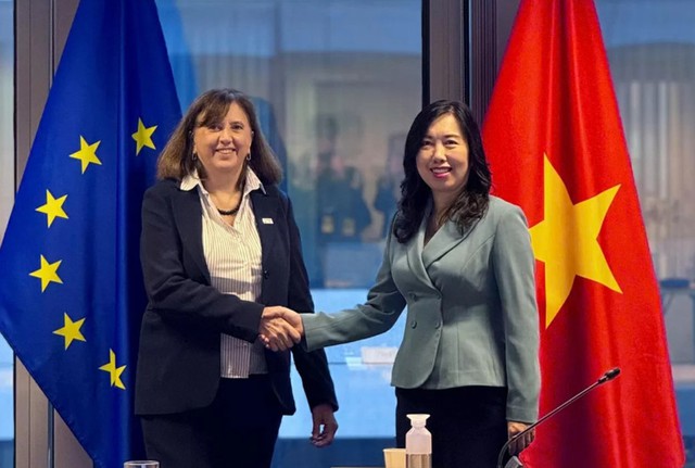 EU provides €850,000 for Viet Nam’s disaster recovery efforts - Ảnh 1.
