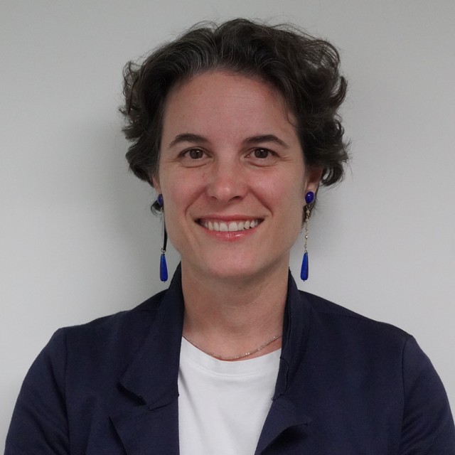 COP30: Breakthrough opportunity for Viet Nam in clean energy and climate finance- Ảnh 1.