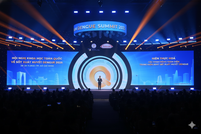 Viet Nam seeks comprehensive strategy for effective dengue control- Ảnh 1. Viet Nam seeks comprehensive strategy for effective dengue control- Ảnh 1.