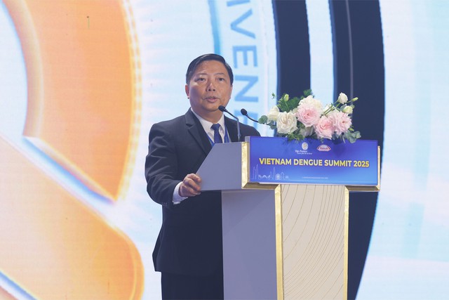 Viet Nam seeks comprehensive strategy for effective dengue control- Ảnh 2. Viet Nam seeks comprehensive strategy for effective dengue control- Ảnh 2.