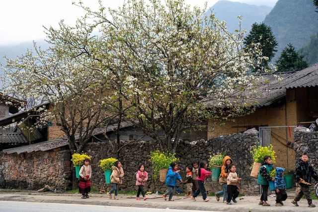 Gov't to allocate US$16 billion for socio-economic development in ethnic minority areas over next five years- Ảnh 1.